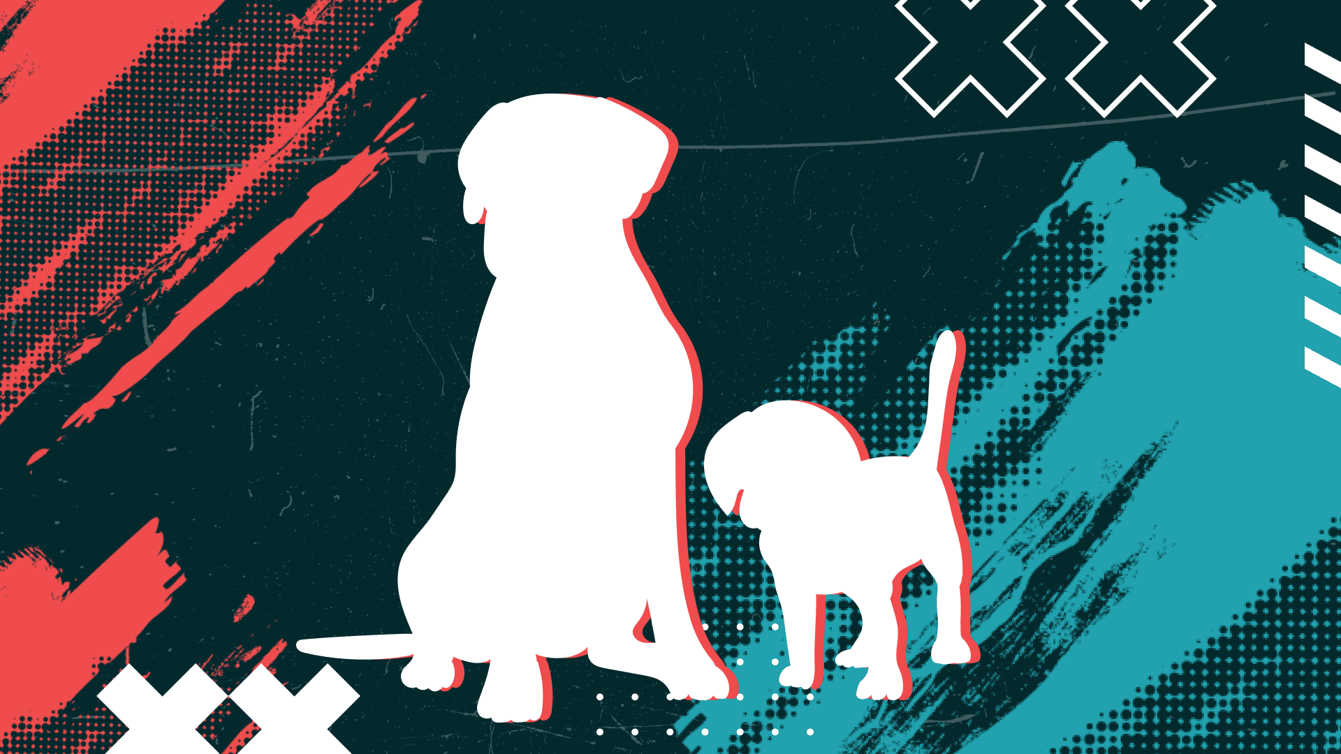 underdog betting strategy