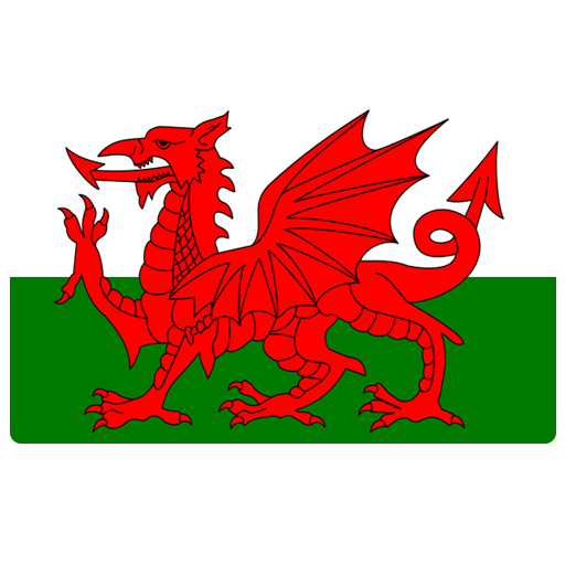 Wales Squad National Football Teams