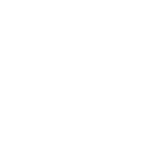 Ligue1 logo white