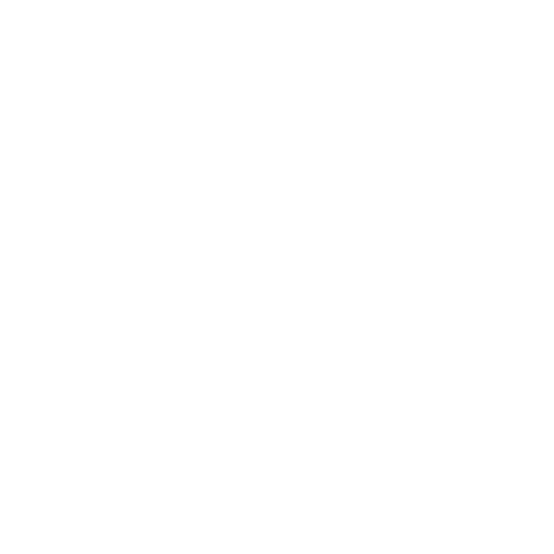 NPFL logo white
