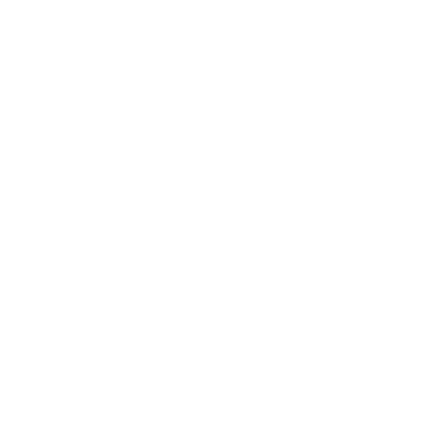 UEFA European Under-19 logo white