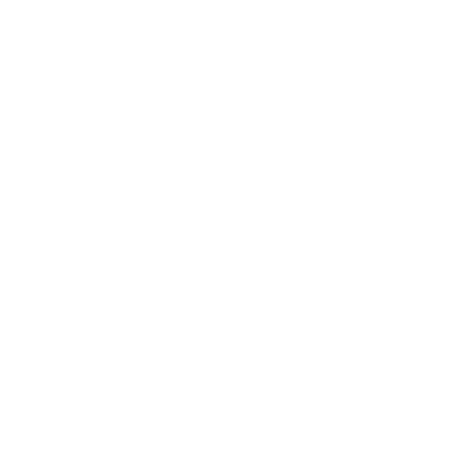 Fifa women's World Cup logo white