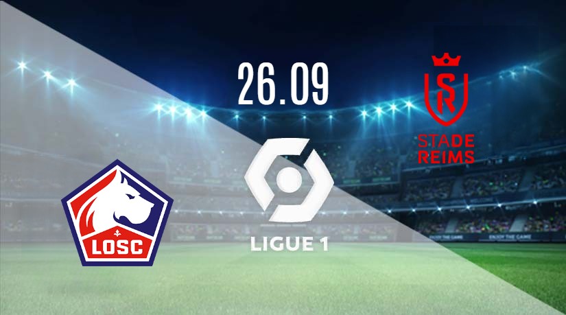 LOSC Lille vs. Reims Prediction: Ligue 1 Match on 26.09.2023